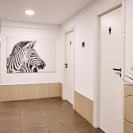 V Pension & Suites *