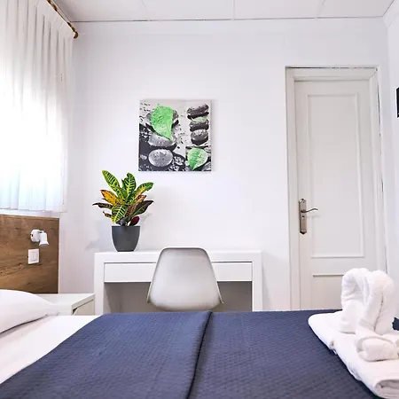 V Pension & Suites *
